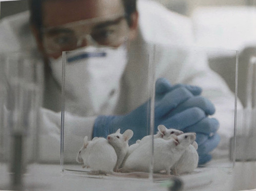 凈化車間裝修醫(yī)院凈化工程資質(zhì)怎么申請(qǐng)？